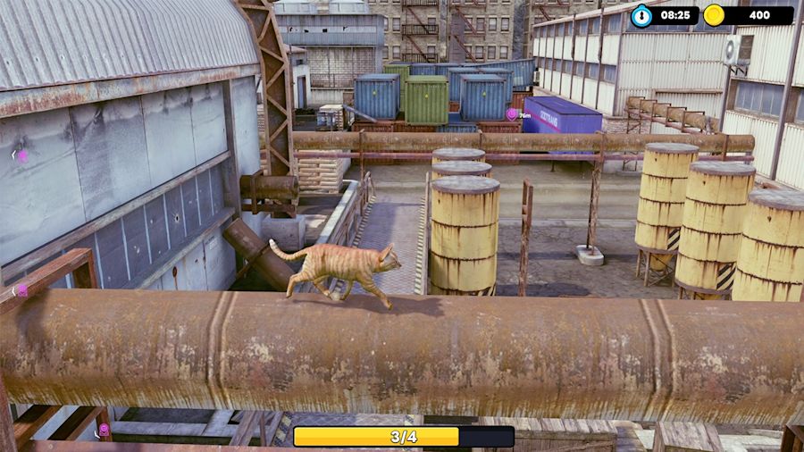 Full Size Image