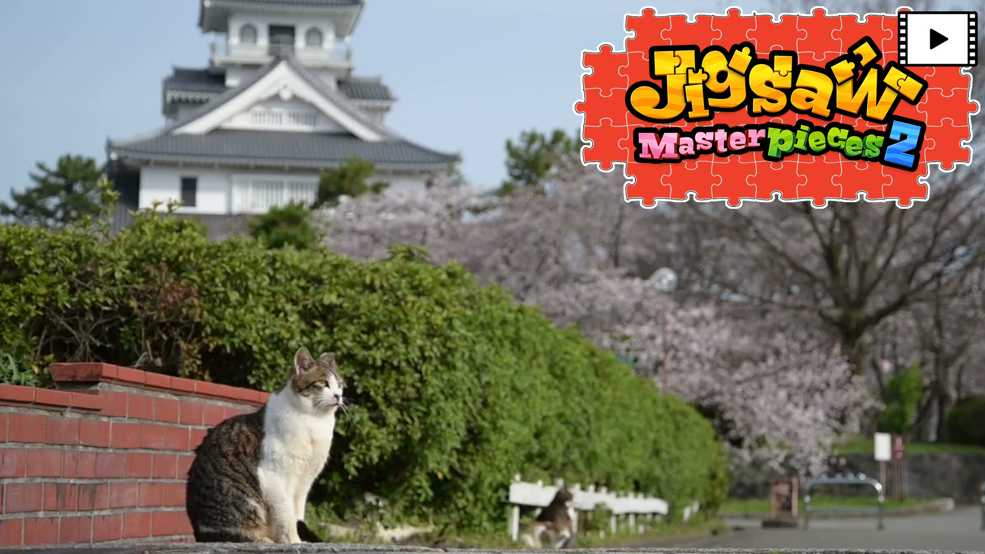[Moving] Street Cats in Japan