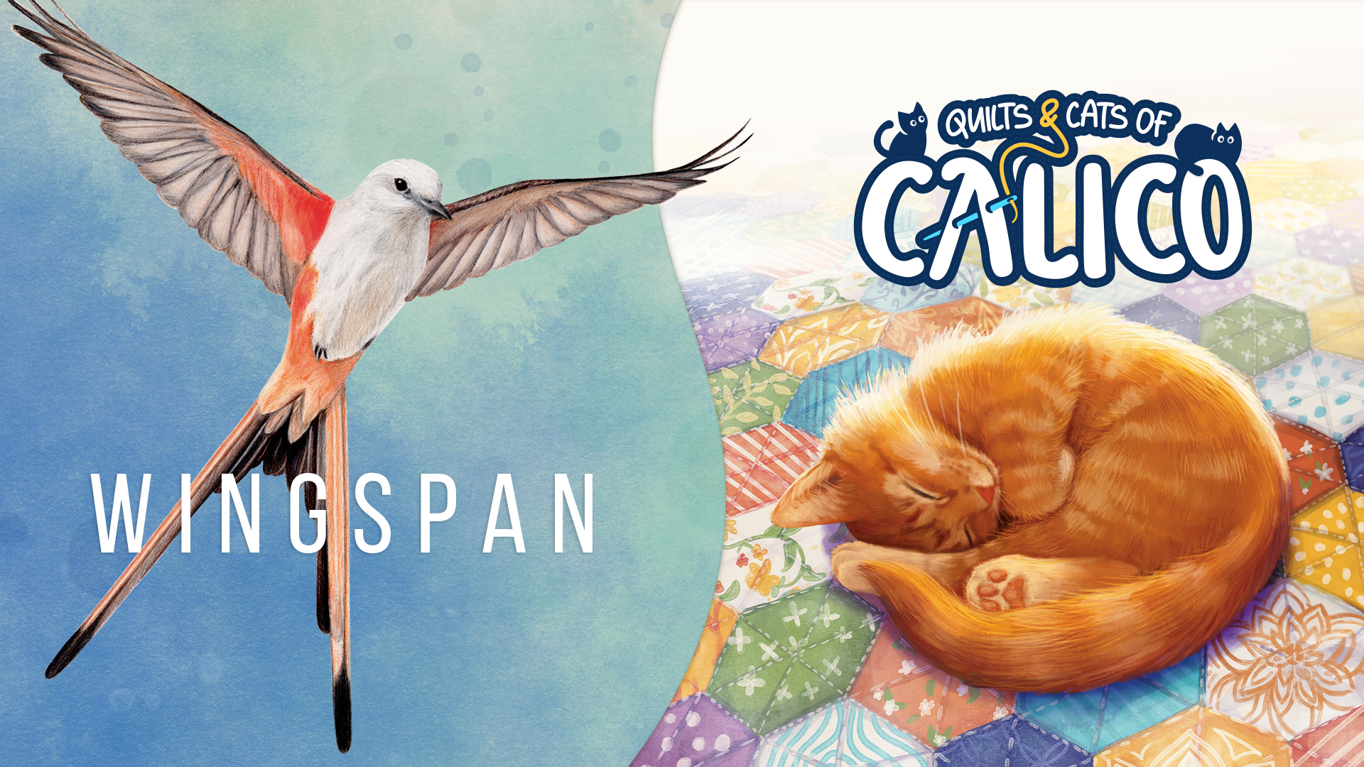 Birds and Cats